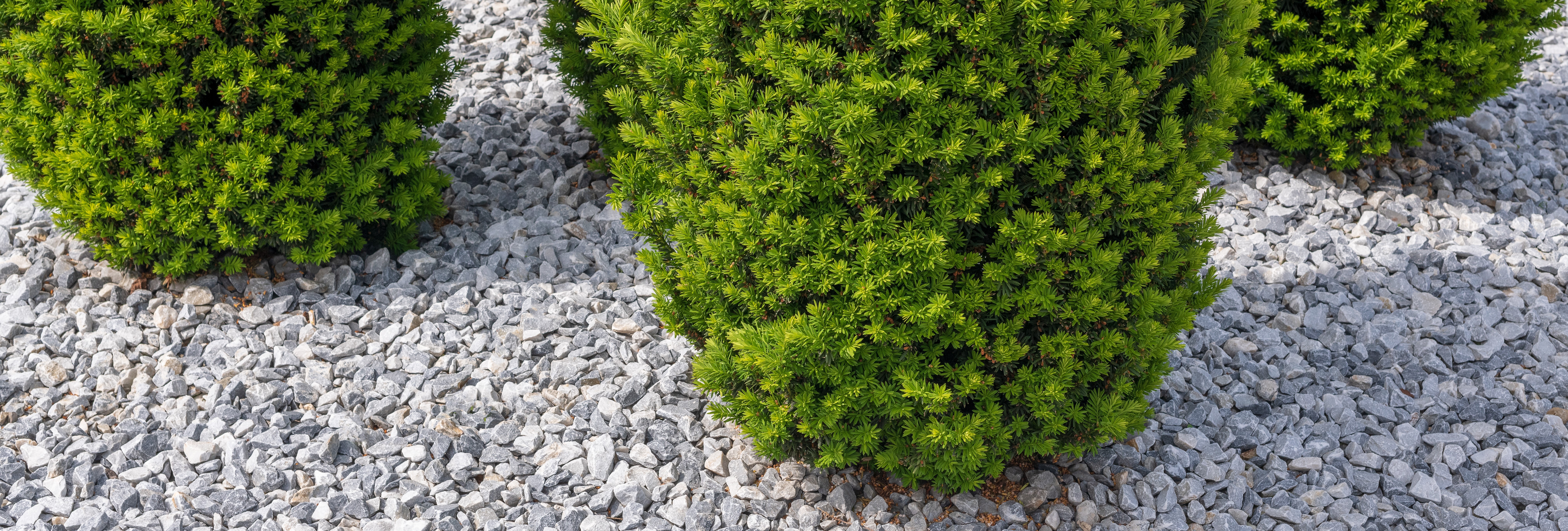 Decorative Gravels & Chippings