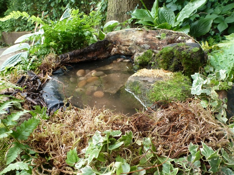 Wildlife garden DIY pond 